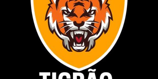 Imagem do grupo de WhatsApp TIGRÃO ATACADO 2