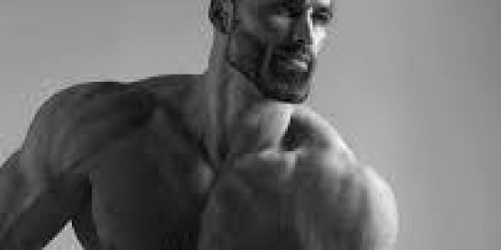 Imagem do grupo de WhatsApp Monkey Family 💪🐵