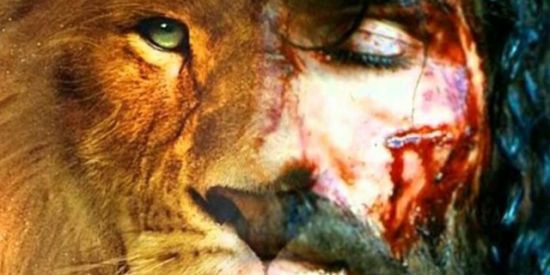 Imagem do grupo de WhatsApp Simplicidade Cristã