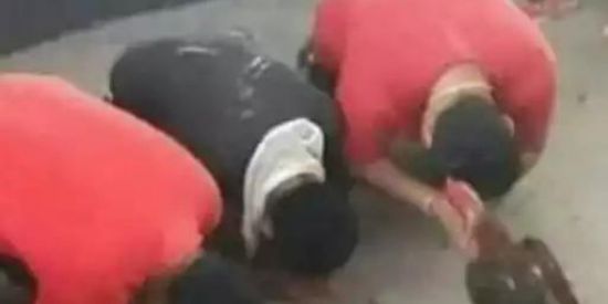 Imagem do grupo de WhatsApp Só Bacanas