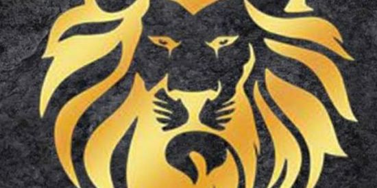 Imagem do grupo de WhatsApp Marketing digital 🦁🦁