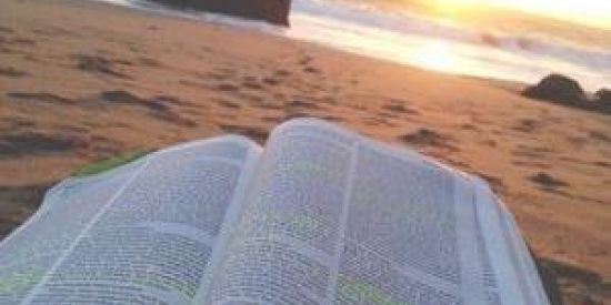 Imagem do grupo de WhatsApp Palavras importância❤️