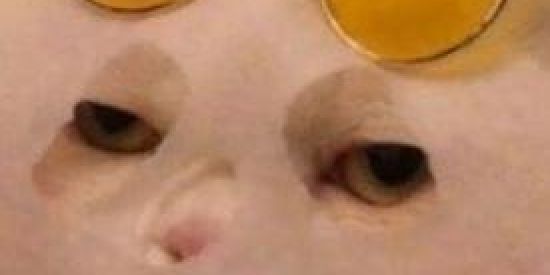 Imagem do grupo de WhatsApp Cristãos 🙏🖤