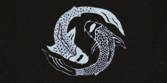 Imagem do grupo de WhatsApp bot de figurinha