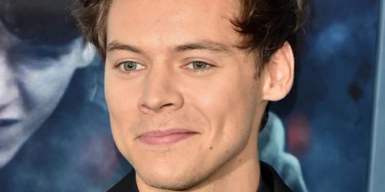 Imagem do grupo de WhatsApp Harry Styles 🤍🎤