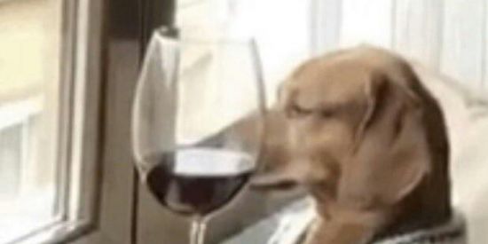 Imagem do grupo de WhatsApp So entrem e n sejam fsdp