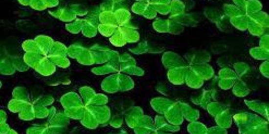 Imagem do grupo de WhatsApp Divulga rifas on-line ☘️