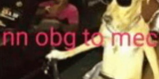 Imagem do grupo de WhatsApp nn obg to mec