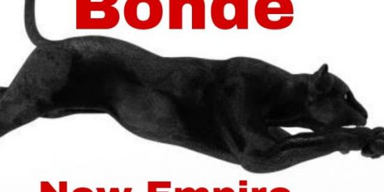 Imagem do grupo de WhatsApp Triagem bondenewempire🔥⚔️