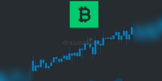 Imagem do grupo de WhatsApp Ponto econômico ✅