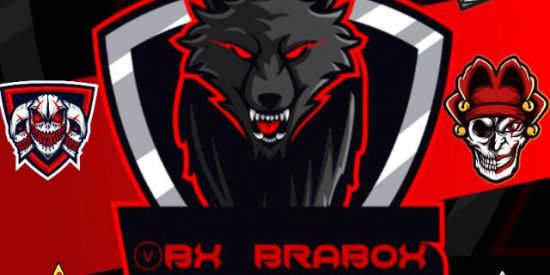 Imagem do grupo de WhatsApp Guilda vBXᅠBRABOX