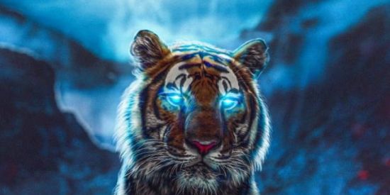 Imagem do grupo de WhatsApp 🌈🔥🐺Grupo dos feroses🐺🔥🌈