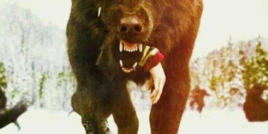 Imagem do grupo de WhatsApp Grupo namoro amizade