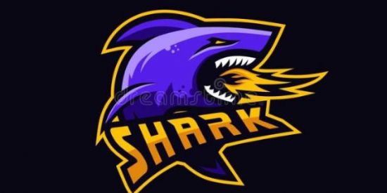 Imagem do grupo de WhatsApp 🦈APOST4DO 4X4🦈 1°
