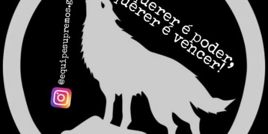 Imagem do grupo de WhatsApp TRIAGEM SUPREMOS🤡🎭