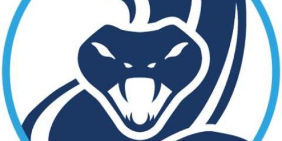 Imagem do grupo de WhatsApp 🐍 • 1รɳ'ҡ รεɠμเ∂σ૨εร 24ɦ