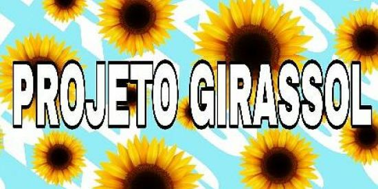 Imagem do grupo de WhatsApp 1♚gsl♚🌻ρrσjєτσ girαssσl🌻