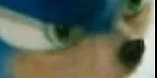 Imagem do grupo de WhatsApp Frog?🤨🤨