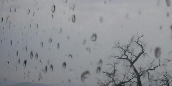 Imagem do grupo de WhatsApp |manos| /| ●□●