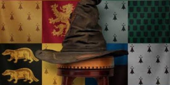 Imagem do grupo de WhatsApp 💙💚💛❤CHAPÉU SELETOR❤💛💚💙