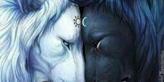 Imagem do grupo de WhatsApp ❗Reino dos status❗