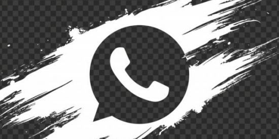 Imagem do grupo de WhatsApp ☆VISUALIZAÇÃO DE STATUS☆▪