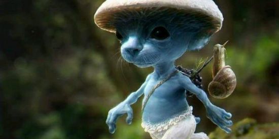 Imagem do grupo de WhatsApp 🅖🅐🅛🅔🅡🅘🅝🅗🅐 🅓🅞 🅡🅐🅥🅔 ✨