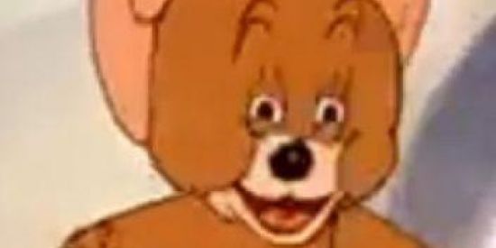 Imagem do grupo de WhatsApp C O R O N E L d os Memes🤡