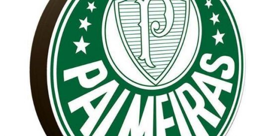 Imagem do grupo de WhatsApp Palmeiras 100%