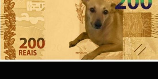 Imagem do grupo de WhatsApp RUMO AOS R$200,00🤑