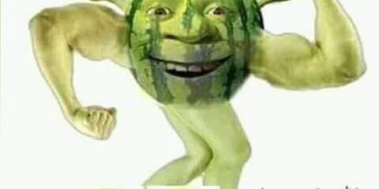 Imagem do grupo de WhatsApp XXXPON SHITPOST👴🏻👍🏿