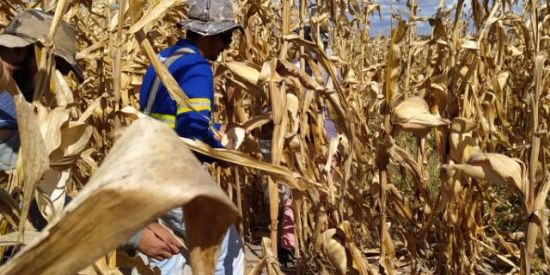 Imagem do grupo de WhatsApp Racha na quadra da bonita