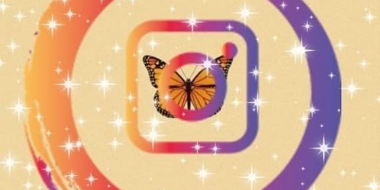 Imagem do grupo de WhatsApp 🌈🦋Troca de seguidores🦋 🌈