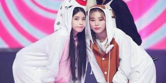 Imagem do grupo de WhatsApp Moomoo