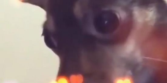 Imagem do grupo de WhatsApp ꪶ͢𖥂DIVULGAÇÃO </> VISUALIZAÇÃO⃟