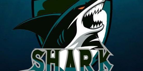 Imagem do grupo de WhatsApp Recruta〽️ento SHARK