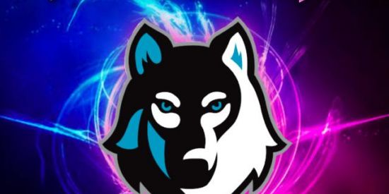 Imagem do grupo de WhatsApp FREE FIRE| Vagas para guilda