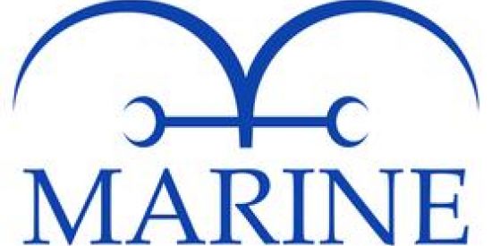 Imagem do grupo de WhatsApp 🌊MARINHA🌊