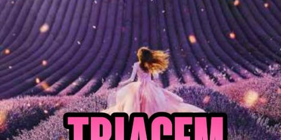 Imagem do grupo de WhatsApp TRIAGEM βις🐺⃤