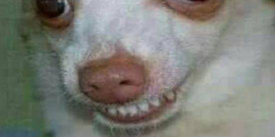 Imagem do grupo de WhatsApp Só memes