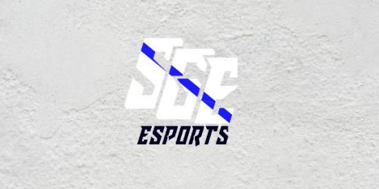 Imagem do grupo de WhatsApp RECRUTAMENTO SGE ESPORTS