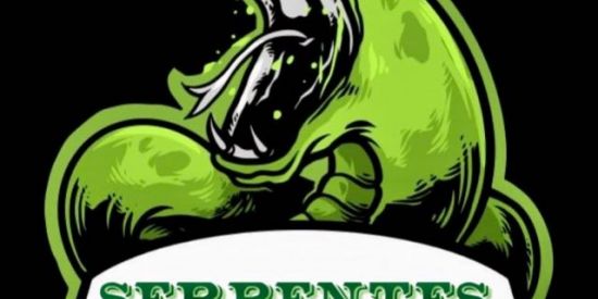 Imagem do grupo de WhatsApp Serpentes 🐍