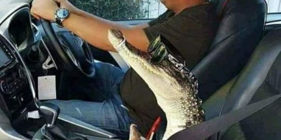 Imagem do grupo de WhatsApp ꪶ͢a37ӄ ʟǟƈօֆȶɛ'ֆӼ👈🐊ꫂ