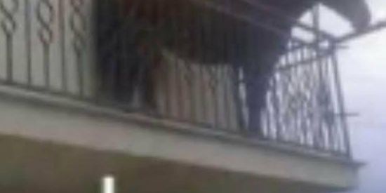 Imagem do grupo de WhatsApp CAVALOS ANÔNIMOS JUDEUS