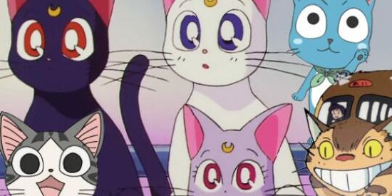 Imagem do grupo de WhatsApp 𖠌ᴏs ᴍɪᴀᴜs𖠌