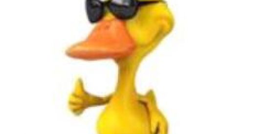 Imagem do grupo de WhatsApp PATOS 5 ESTRELAS🦆🌟🌟🌟🌟🌟