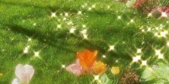 Imagem do grupo de WhatsApp 🤍✨LDA+BIOS+SUBS✨🤍