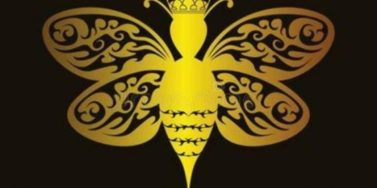 Imagem do grupo de WhatsApp APICULTOR- SERTÃO CENTRAL