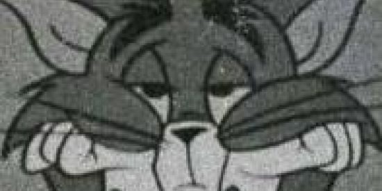 Imagem do grupo de WhatsApp ‧͙+ ̊*・༓☾loucos☽༓・* ̊+‧͙