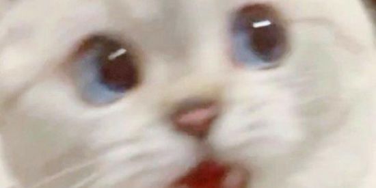 Imagem do grupo de WhatsApp Surtadinhos das antigas:)